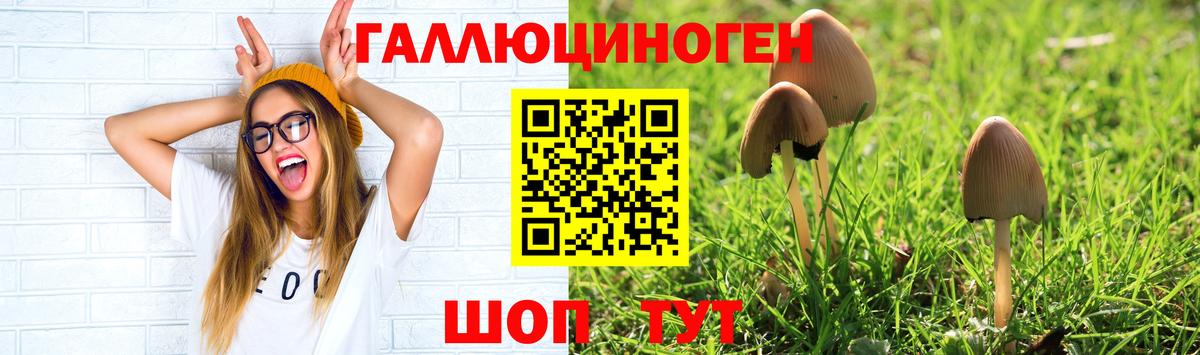 Кузнецк  Галлюциногенные грибы GOLDEN TEACHER  Вход с VPN 